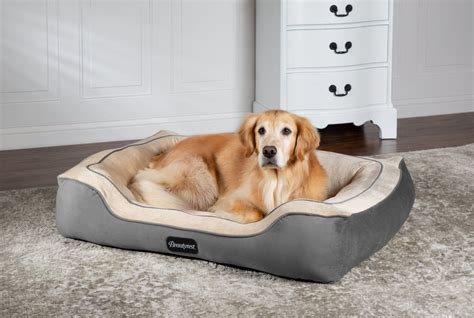 beautyrest dog bed large grey